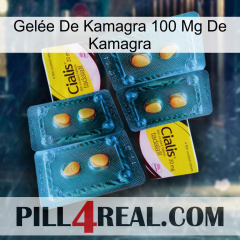 Gelée De Kamagra 100 Mg De Kamagra cialis5